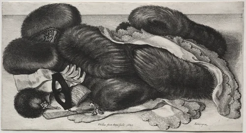 Muffs, Gloves, Collars and Other Articles of Toilet by Wenceslaus Hollar, print, 1647