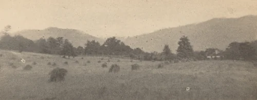 Landscape with trees and mountains by Joseph T. Keiley, photograph, 1895-1905