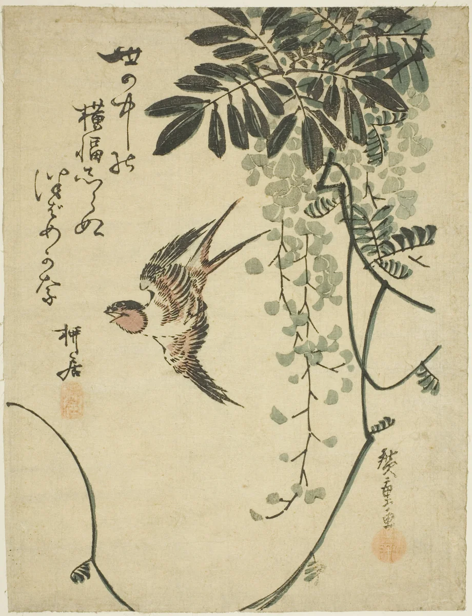 Swallow and wisteria by Utagawa Hiroshige (歌川広重), print