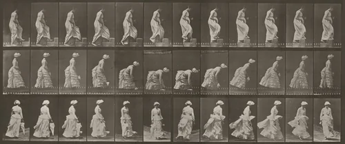 Plate Number 487. A: Ascending a step. B: Lifting a handkerchief from the ground. C: Walking. D: Running by Eadweard Muybridge, photograph, 1887