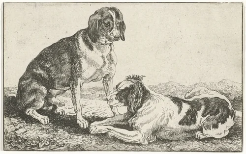 Twee rustende honden by Jan van den Hecke, print, 1656