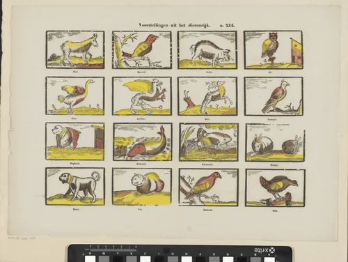 Voorstellingen uit het dierenrijk by Glenisson & Zonen, print, 1856-1900
