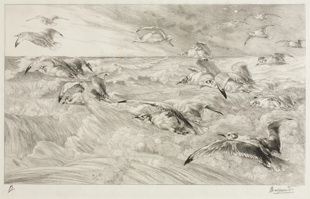 The Seagulls by Félix Bracquemond, print, 1875-1885