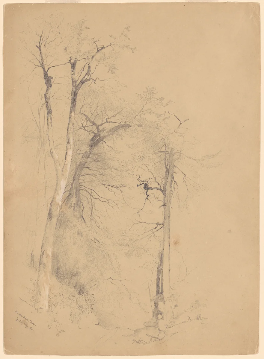 Kauterskill Clove by Jervis McEntee, drawing, 1860