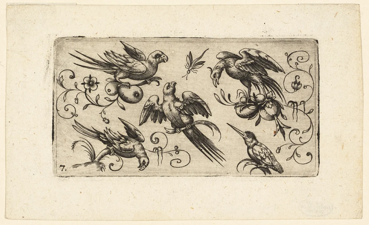 Ornament Panels with Birds: Plate 7 by Adrian Muntink, print, 1617