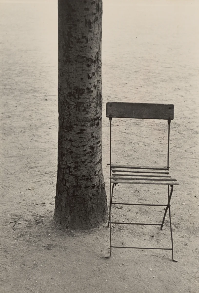 Tree and Chair/Paris by Robert Frank, photograph, 1949