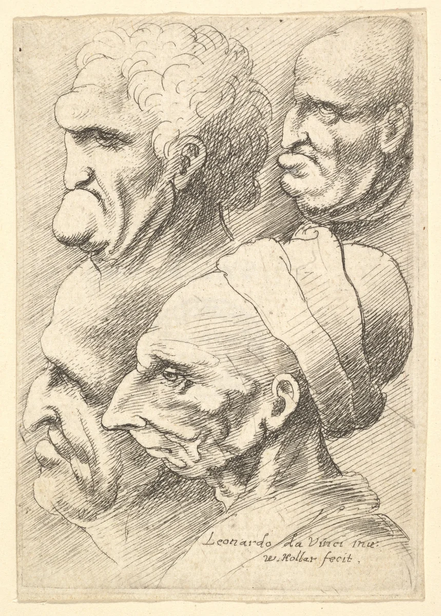 Four grotesque heads in profile to left by Wenceslaus Hollar, print, 1644-1652