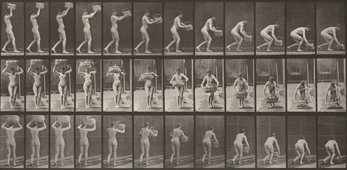 Plate Number 201. Taking a 12-lb. basket from head and putting it on the ground by Eadweard Muybridge, photograph, 1887