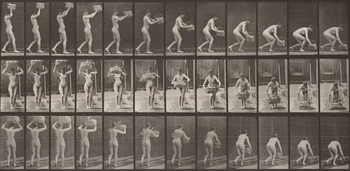 Plate Number 201. Taking a 12-lb. basket from head and putting it on the ground by Eadweard Muybridge, photograph, 1887