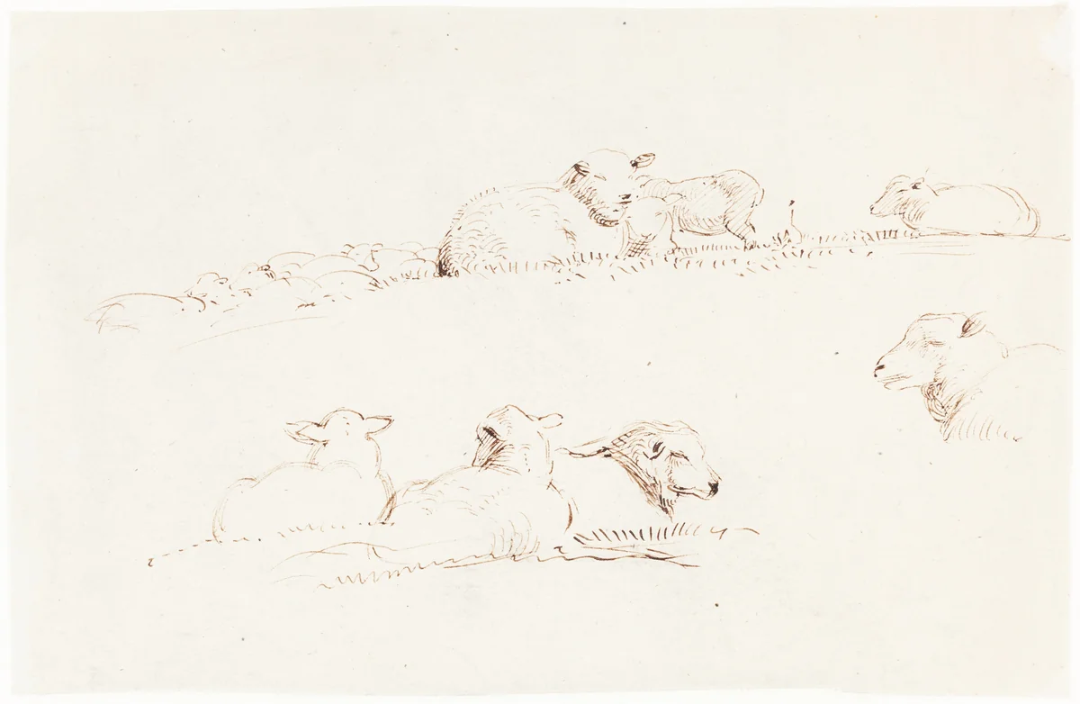 Studies of Sheep in Pasture by George Richmond, drawing, 1837-1839