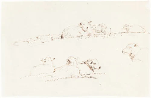 Studies of Sheep in Pasture by George Richmond, drawing, 1837-1839