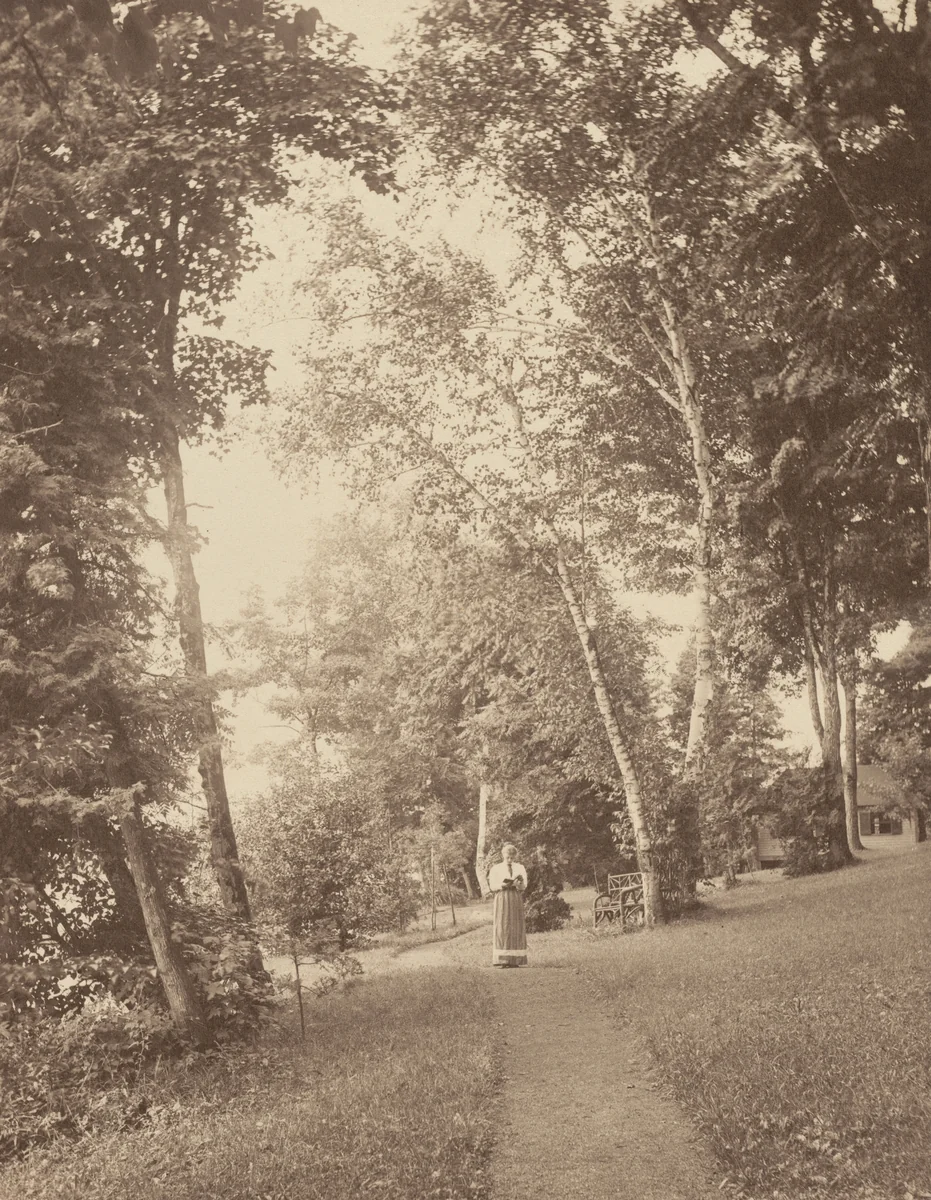 "Hedwigsweg," at Oaklawn by Alfred Stieglitz, photograph, 1888