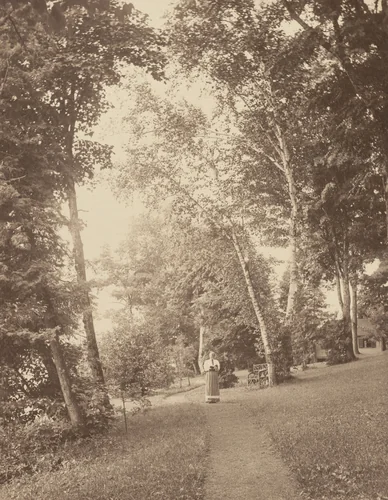 "Hedwigsweg," at Oaklawn by Alfred Stieglitz, photograph, 1888