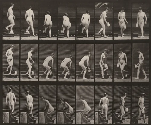 Plate Number 150. Descending stairs, stooping, lifting a pitcher and turning by Eadweard Muybridge, photograph, 1887
