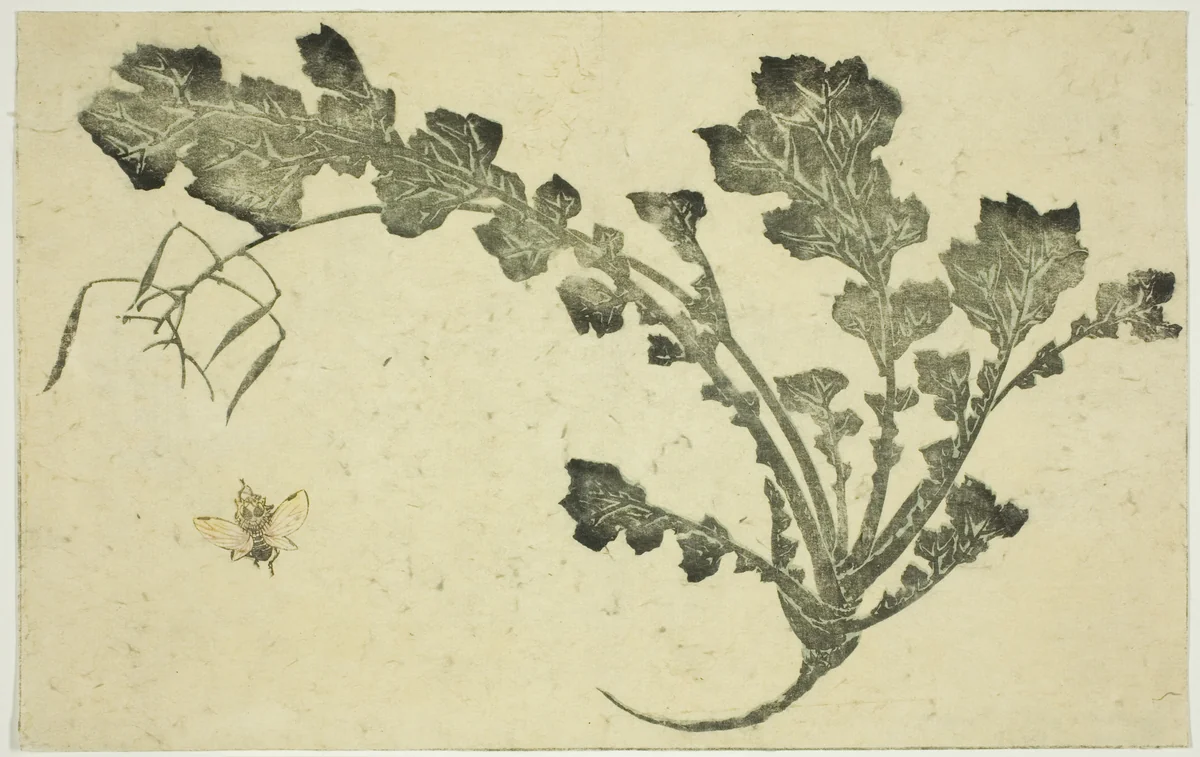 Wasp and turnip stalk, from "The Picture Book of Realistic Paintings of Hokusai (Hokusai shashin gafu)" by Katsushika Hokusai (葛飾 北斎), print, 1809-1819
