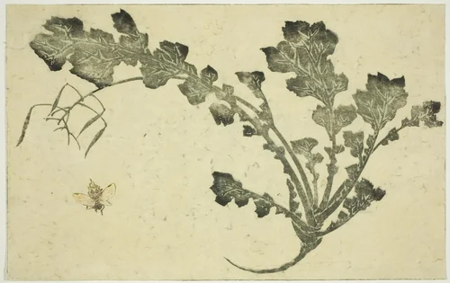 Wasp and turnip stalk, from "The Picture Book of Realistic Paintings of Hokusai (Hokusai shashin gafu)" by Katsushika Hokusai (葛飾 北斎), print, 1809-1819
