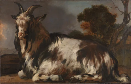Goat Lying Down by Jan Baptist Weenix, painting, 1645-1660