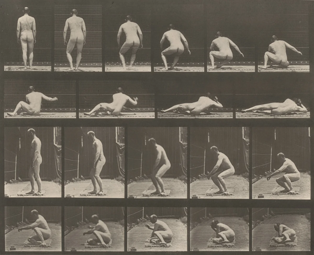 Plate Number 257. Lying on the ground by Eadweard Muybridge, photograph, 1887