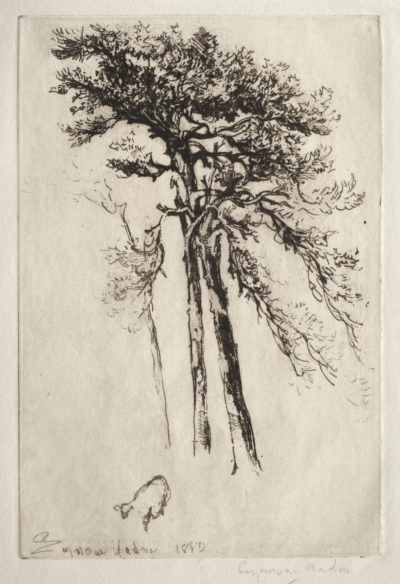 The Latest Tree by Francis Seymour-Haden, print, 1882
