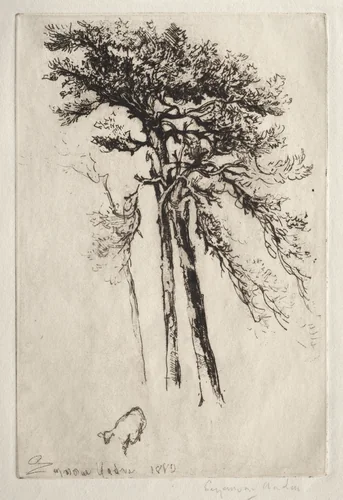 The Latest Tree by Francis Seymour-Haden, print, 1882