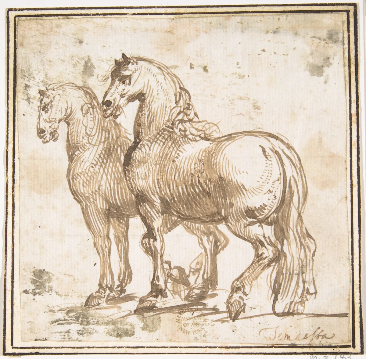 Two Horses by Francesco Allegrini, drawing, 1624-1663
