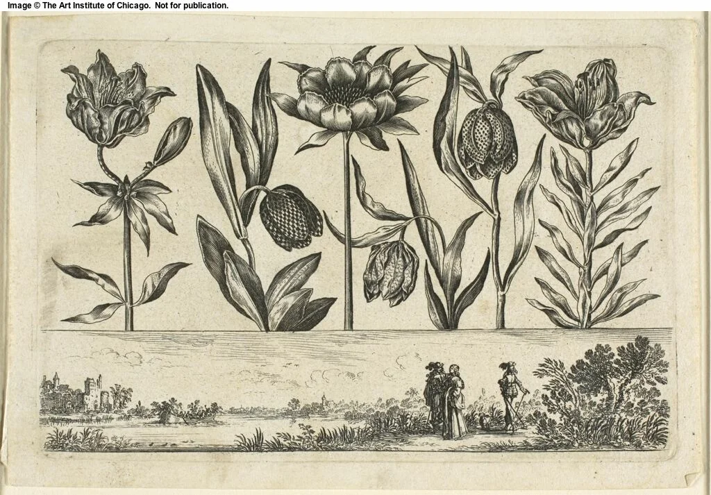 Flowers and Landscape, from Livre Nouveau de Fleurs... by Nicolas Cochin, print, 1645