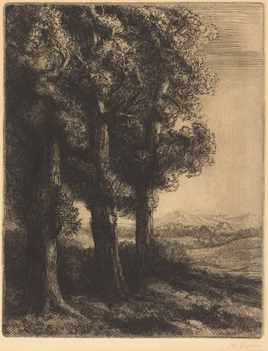 Corner of a Wood (Coin d'un bois) by Alphonse Legros, print, 1837-1911