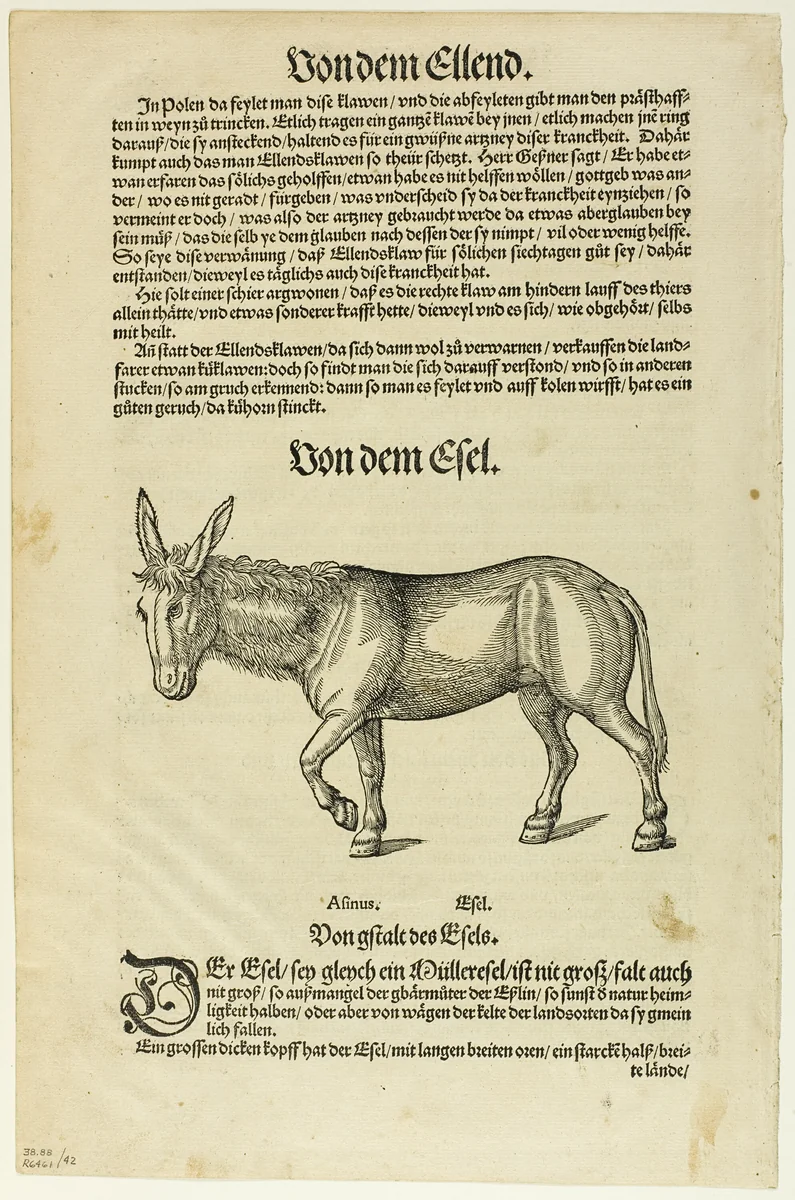 Illustration from "Thierbuch", plate 42 from Woodcuts from Books of the XVI Century by Hans Asper, print, 1563