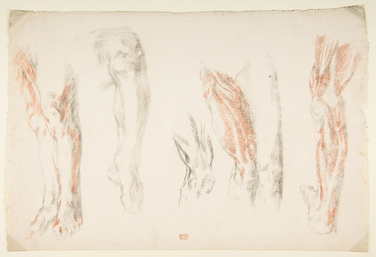 Anatomical Studies of Legs by Eugène Delacroix, drawing, 1810-1863