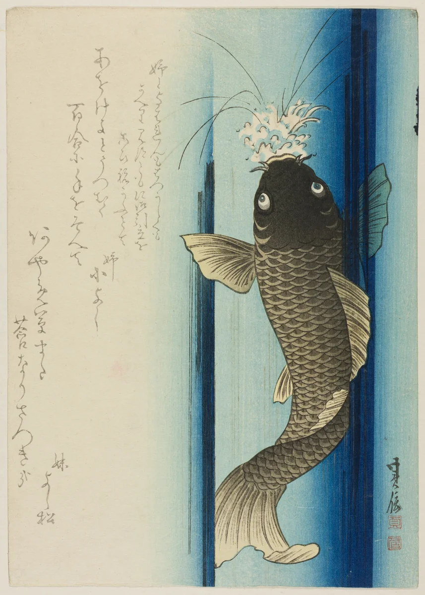 Carp Ascending Waterfall by Hasegawa Sadanobu (長谷川貞信), print, 1801-1900