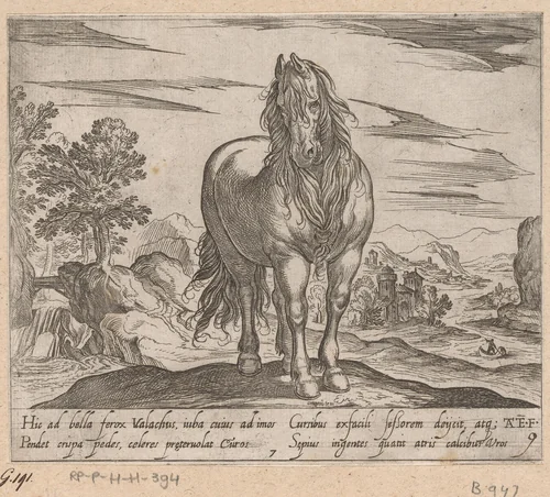Staand paard van voren gezien by Unknown, print, 1590