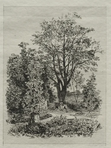 In my Bordeaux Garden by Maxime Lalanne, print, 1872