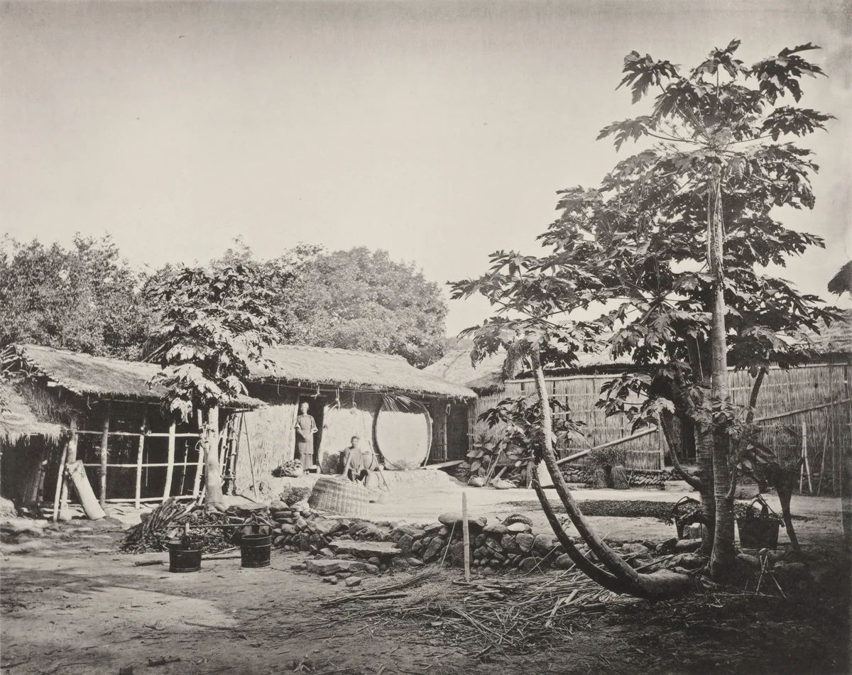 A Pepohoan Dwelling by John Thomson, photograph, 1873