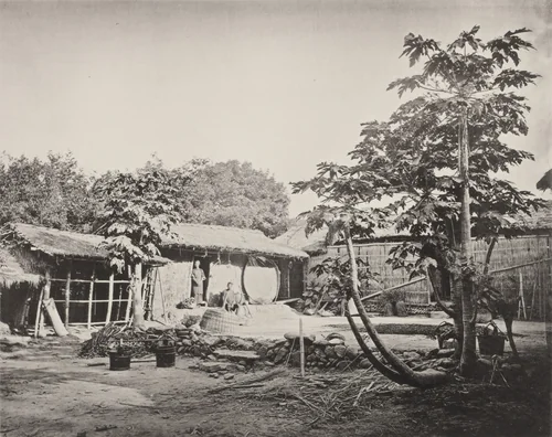 A Pepohoan Dwelling by John Thomson, photograph, 1873