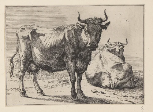 A Cow Standing and Another Lying Down, from Various Oxen and Cows by Paulus Potter, print, 1650