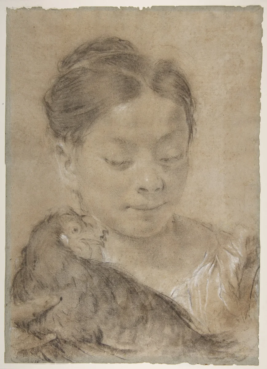 Girl with a Hen by Giovanni Battista Piazzetta, drawing, 1682-1754