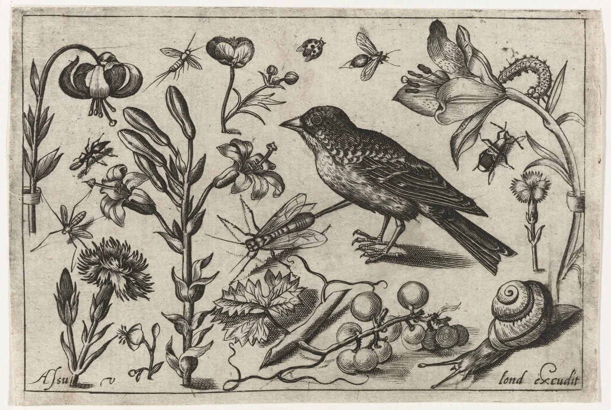 Bloemen, een slak en een vogel by Unknown, print, 1594