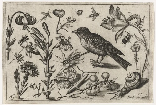 Bloemen, een slak en een vogel by Unknown, print, 1594
