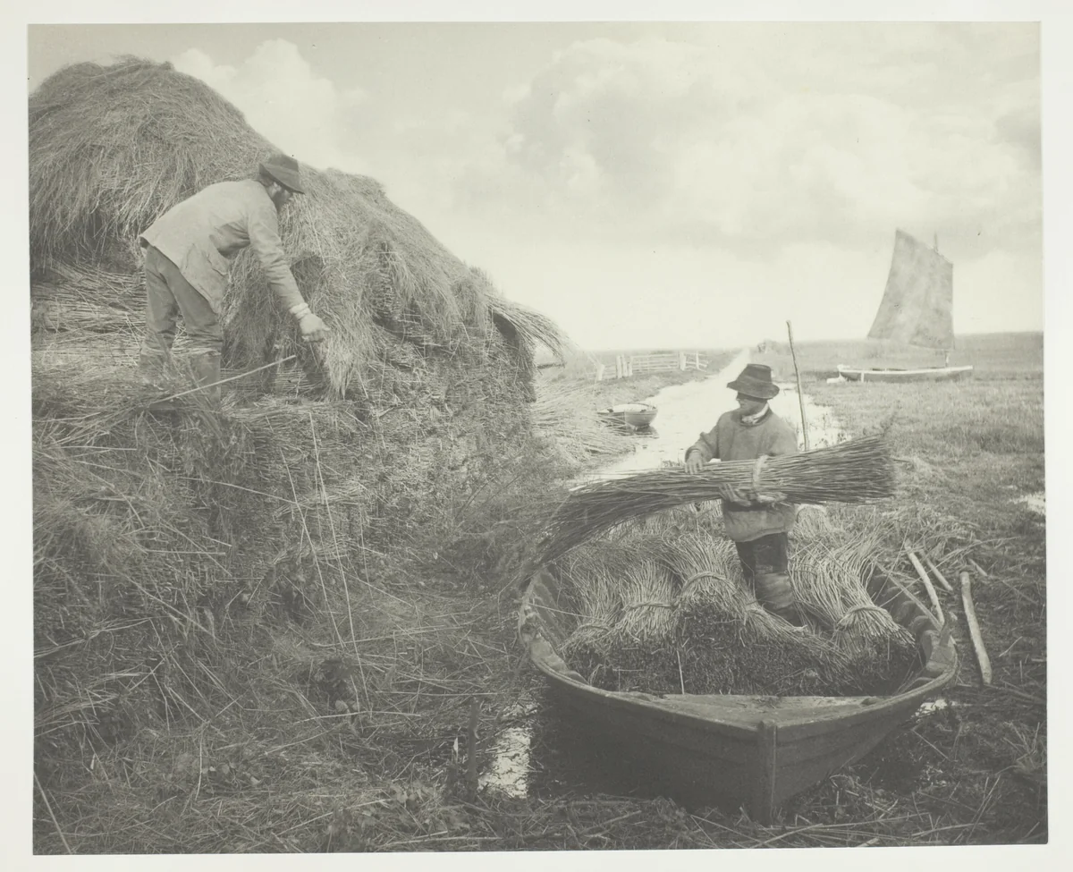 Ricking the Reed by Peter Henry Emerson, photograph, 1886