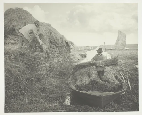 Ricking the Reed by Peter Henry Emerson, photograph, 1886