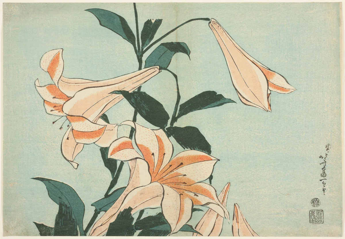 Lilies, from an untitled series of Large Flowers by Katsushika Hokusai (葛飾 北斎), print, 1827-1839