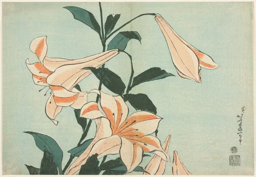 Lilies, from an untitled series of Large Flowers by Katsushika Hokusai (葛飾 北斎), print, 1827-1839