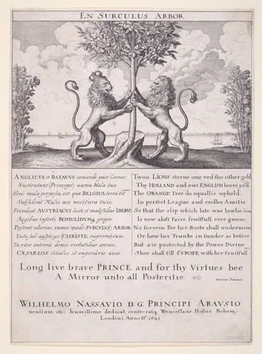 The Lions of England and Holland (En Surculus Arbor) by Wenceslaus Hollar, print, 1641
