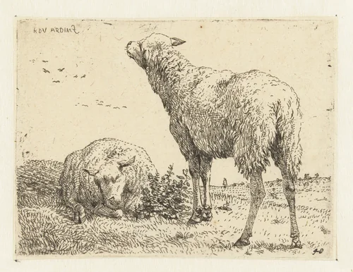 Twee schapen by Karel du Jardin, print, 1652-1659