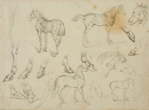 Sketches of a Horse by Jean Louis André Théodore Géricault, drawing, 1813-1814