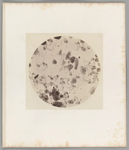 [Untitled] by Auguste-Adolphe Bertsch, photograph, 1853-1857