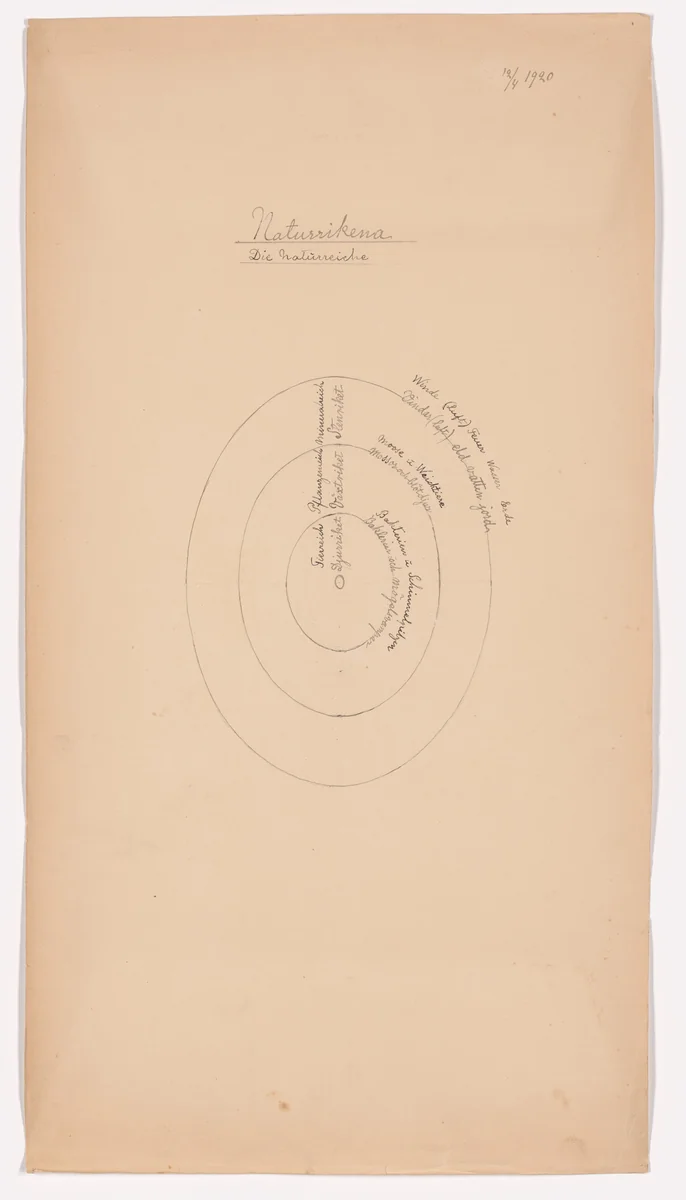 Naturrikena (The Natural Kingdoms). Sheet 29 from the portfolio Nature Studies by Hilma af Klint, drawing, 1920