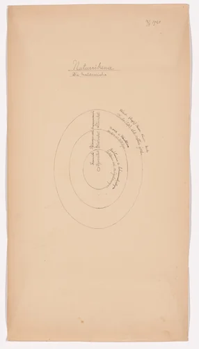 Naturrikena (The Natural Kingdoms). Sheet 29 from the portfolio Nature Studies by Hilma af Klint, drawing, 1920