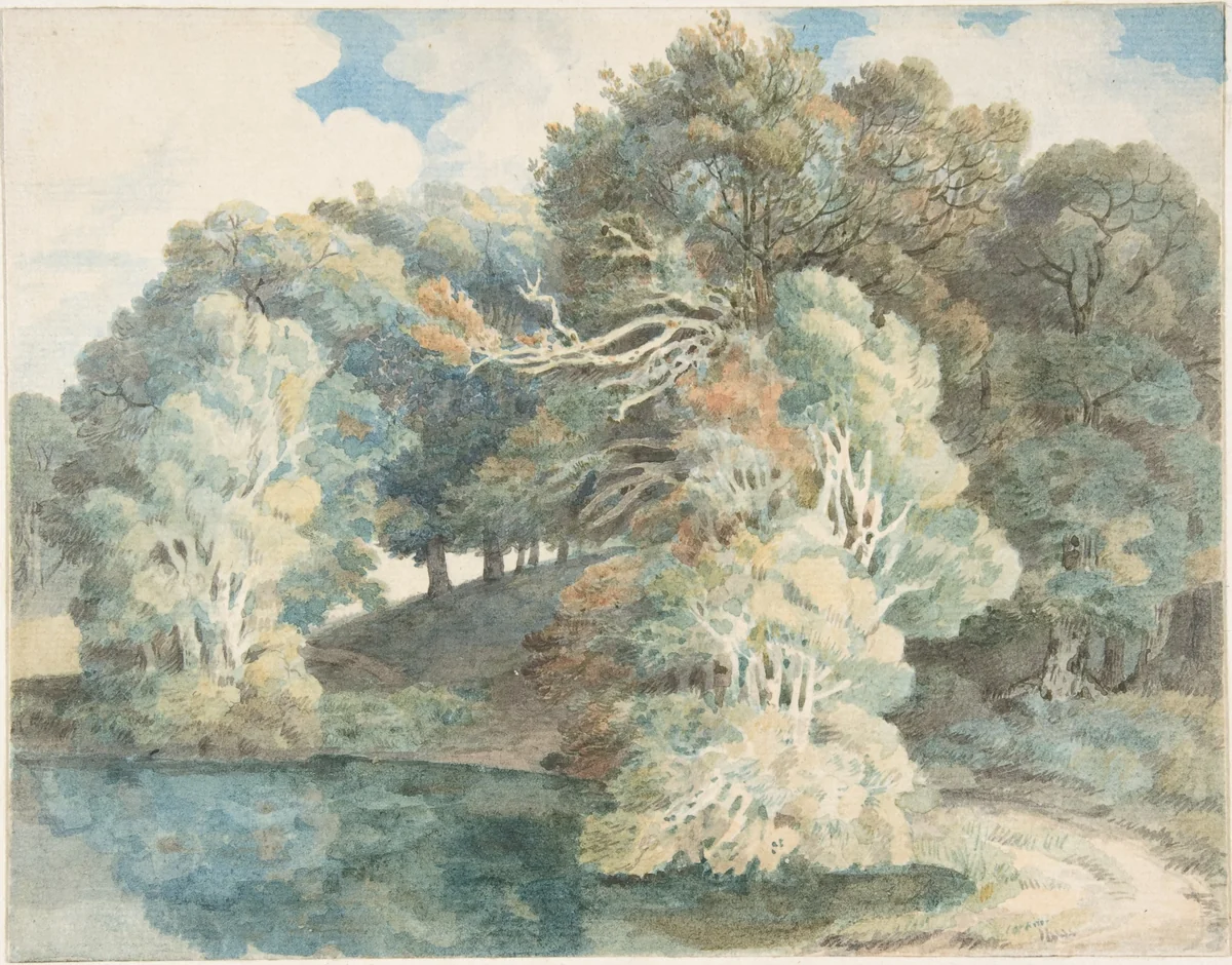 Trees by the lake, Peamore Park, near Exeter, Devon by Francis Towne, drawing, 1790-1810