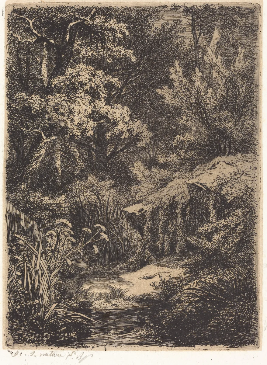 Le petit ruisseau (The Little Brook) by Eugène Bléry, portfolio, 1849